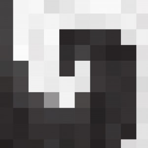 WHITE MOSAIC PATTERN